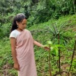 Fruit Tree Beneficiary