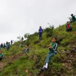 SynjukKaHima-GalleryImage (4)