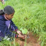 SynjukKaHima-GalleryImage (5)