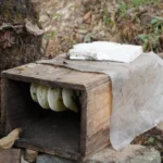 SynjukKaHima-GalleryImage (6)