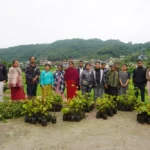 SynjukKaHima-GalleryImage (8)